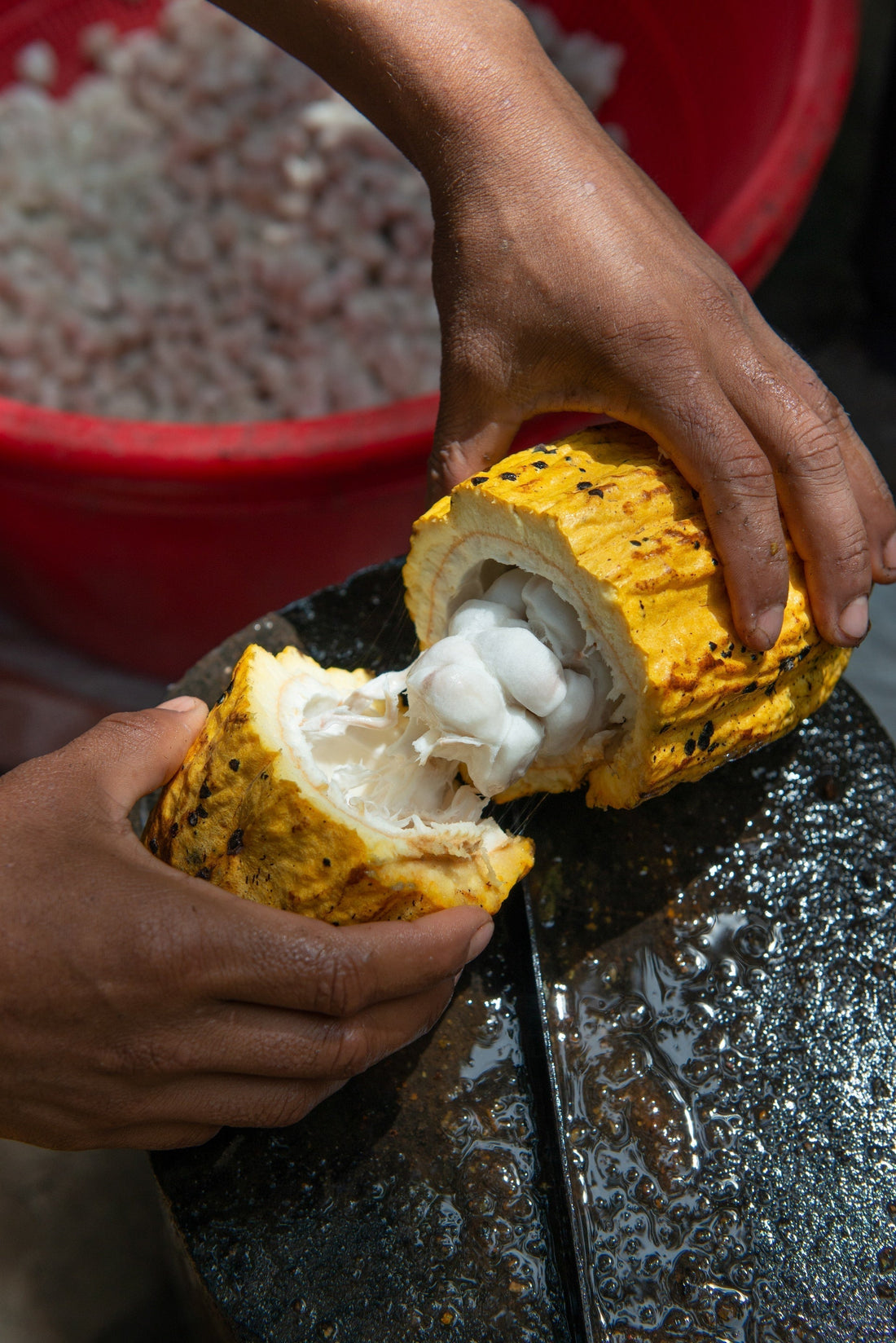 Combating hunger