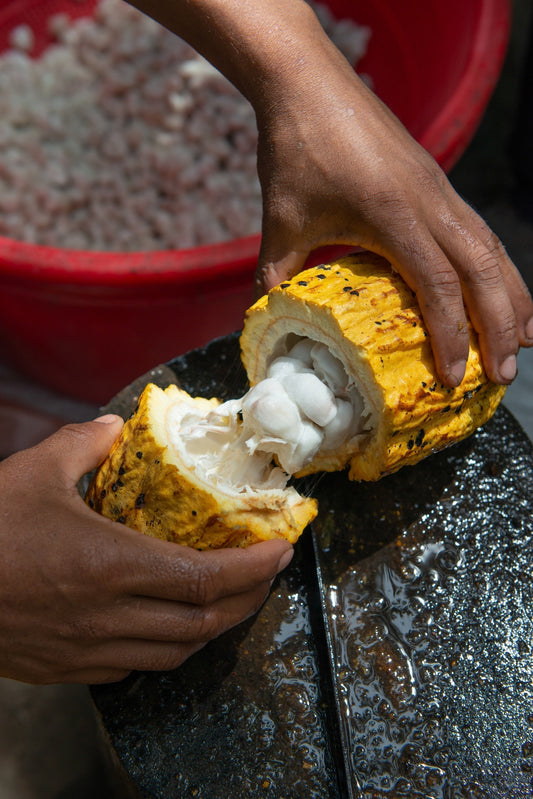 Combating hunger